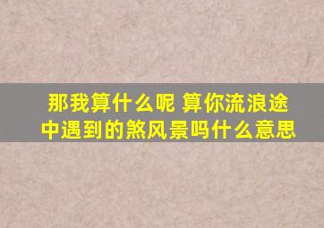 那我算什么呢 算你流浪途中遇到的煞风景吗什么意思